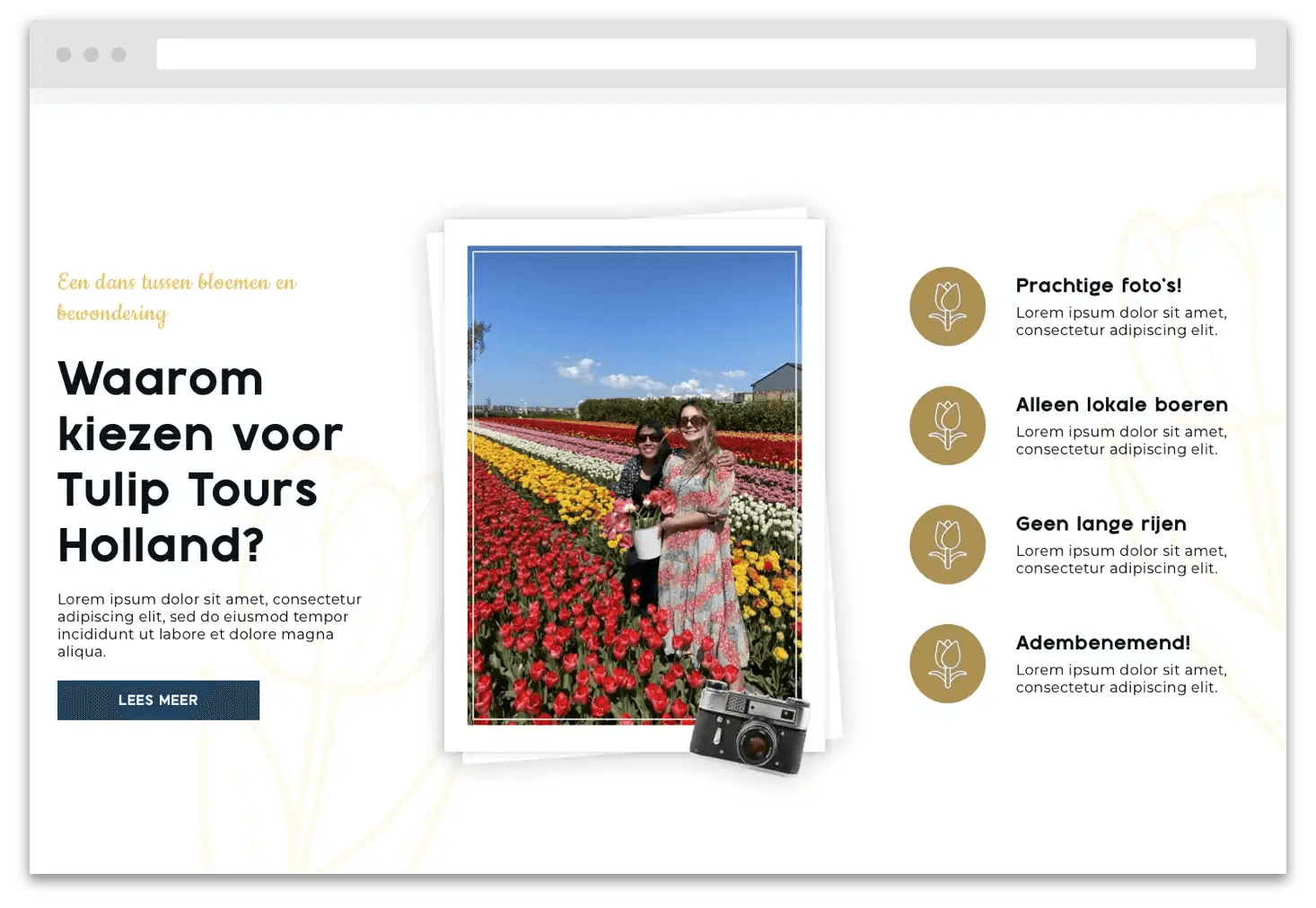 Desktopversie van een banner van Tulip Tours Holland