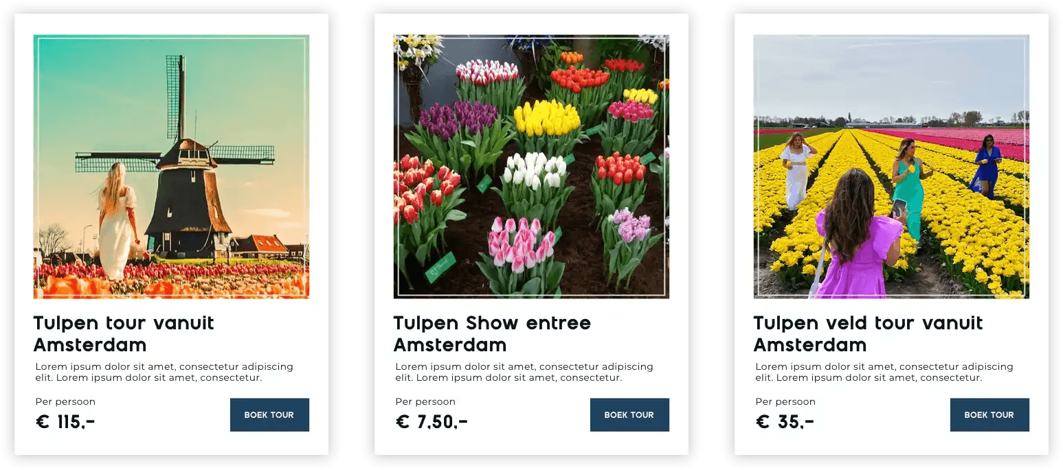 Desktopversie van een banner van Tulip Tours Holland